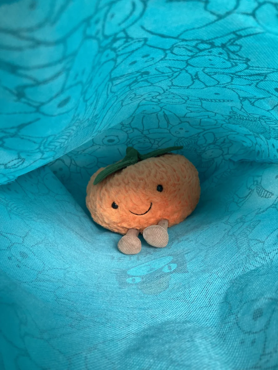 Front - Amuseables Clementine - Small photo by jkelly