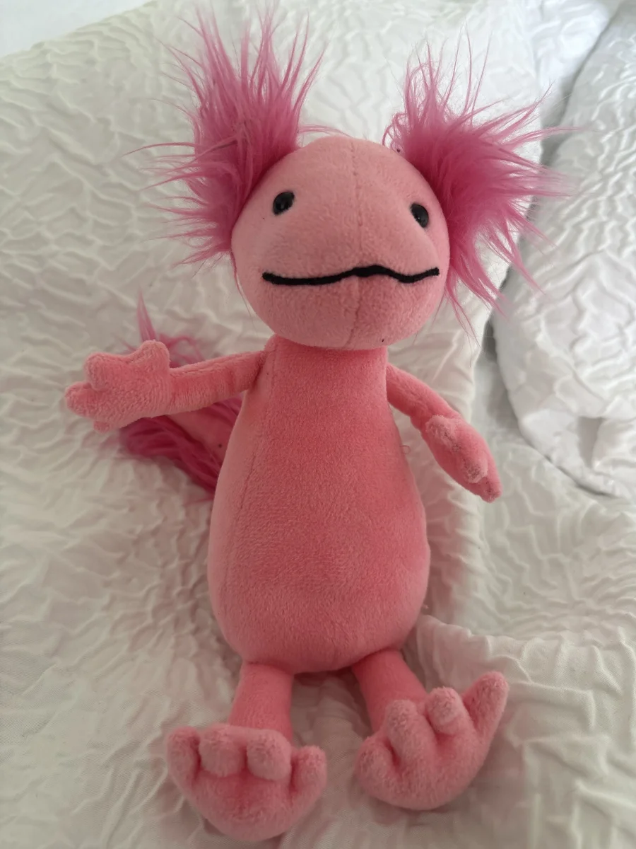 Front - Alice Axolotl photo by lacey.taylorx