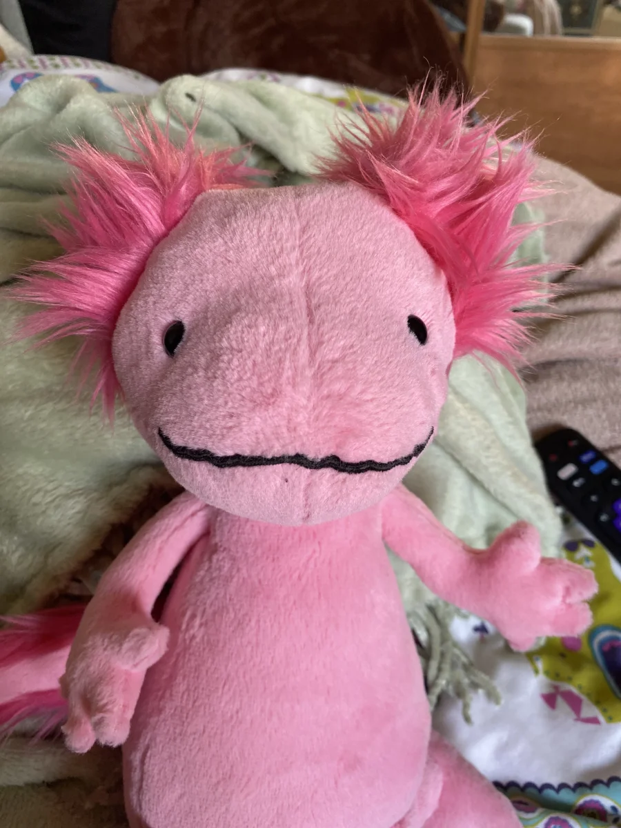 Front - Alice Axolotl photo by IHeartJellyCats