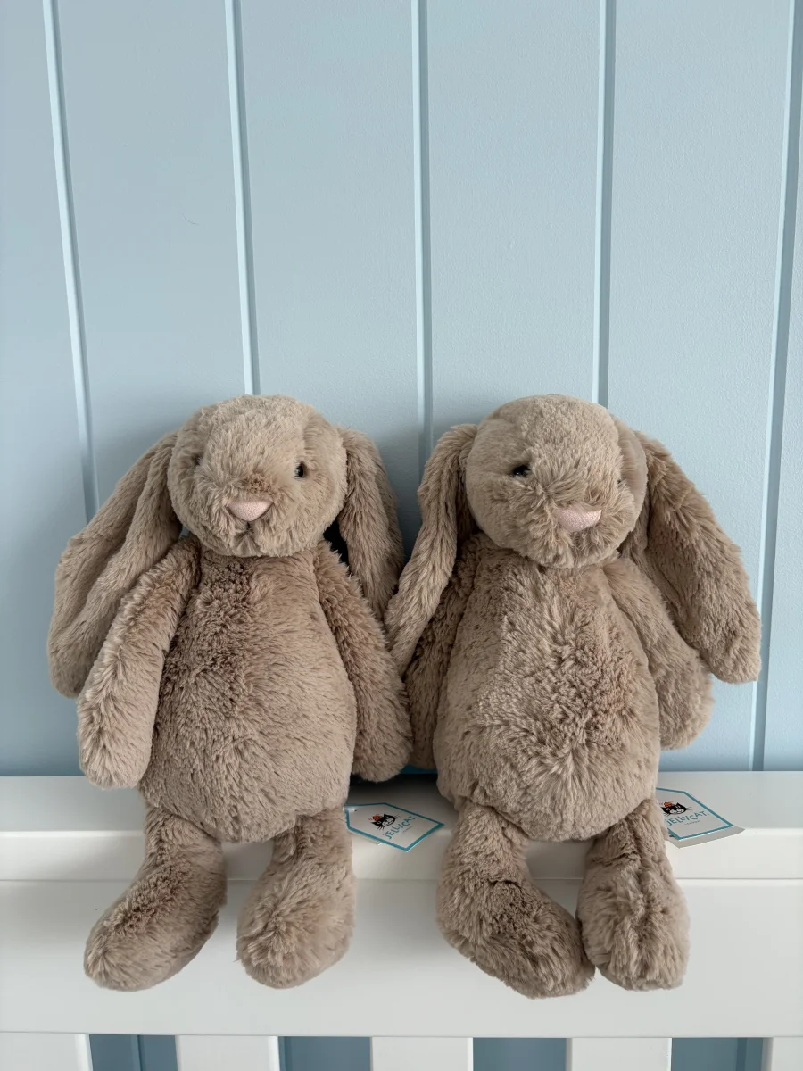 Front - Bashful Beige Bunny - Medium photo by chelseasampson