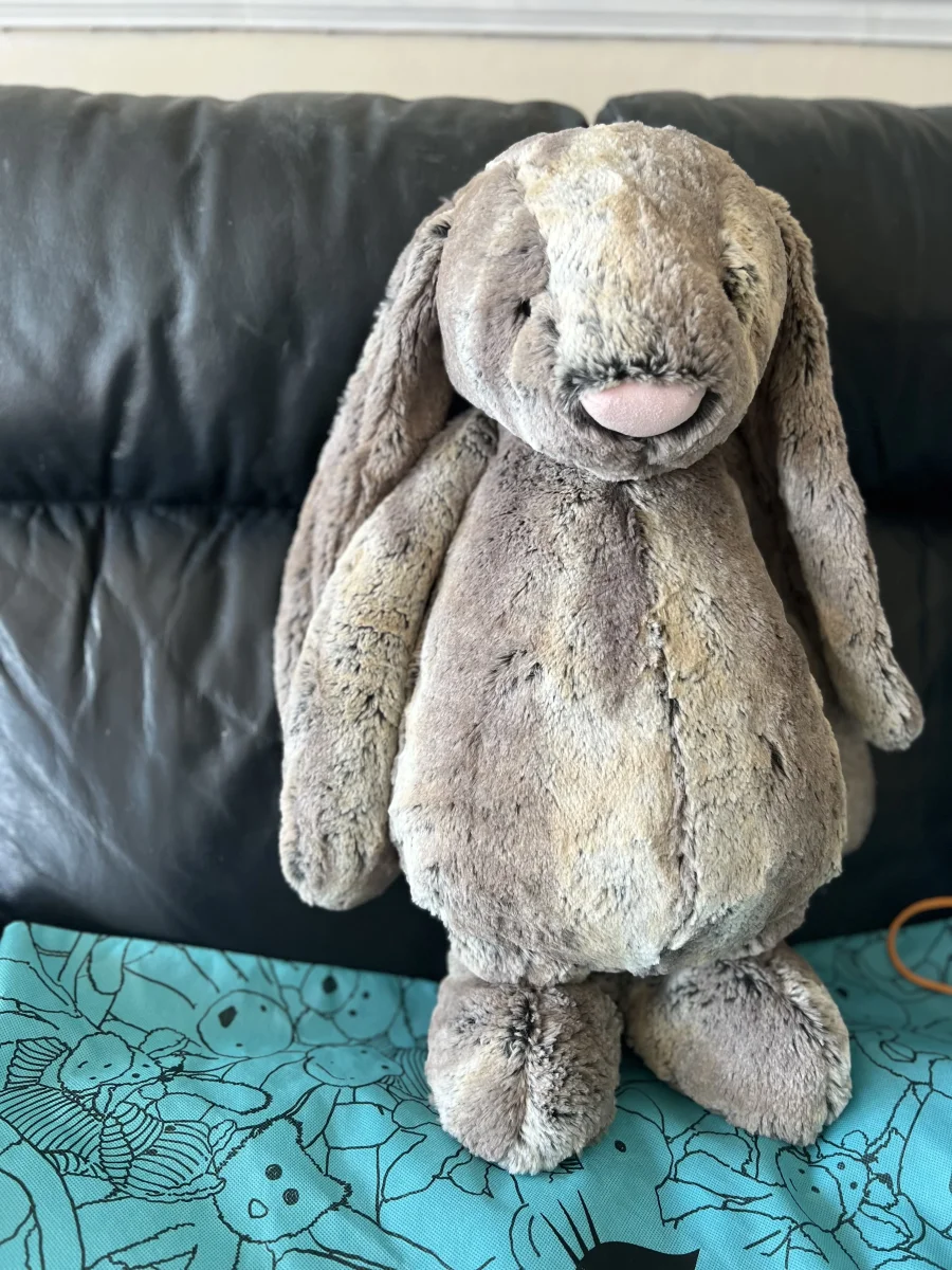 Front - Bashful Cottontail Bunny - Medium photo by ForTheLoveOfJellycats