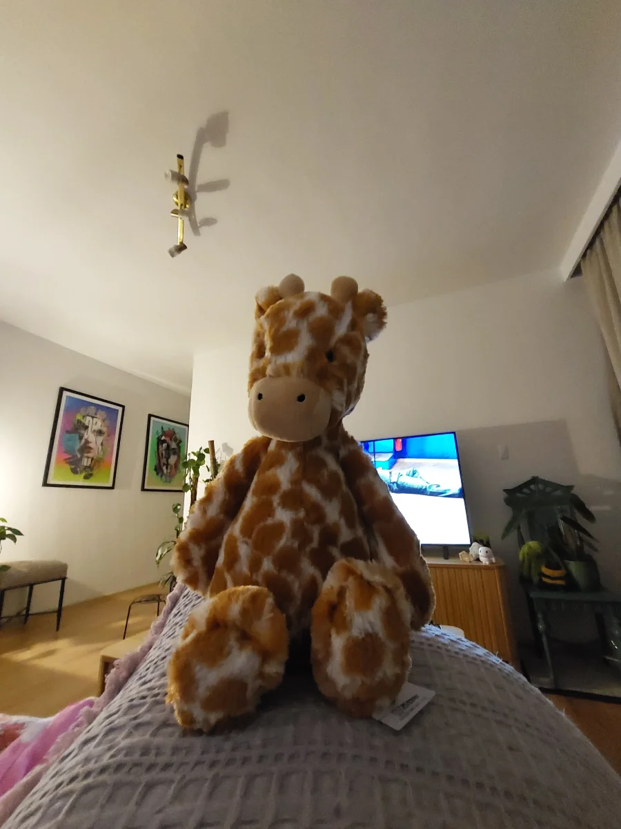 Lifestyle - Bashful Giraffe - Medium photo by beecee94