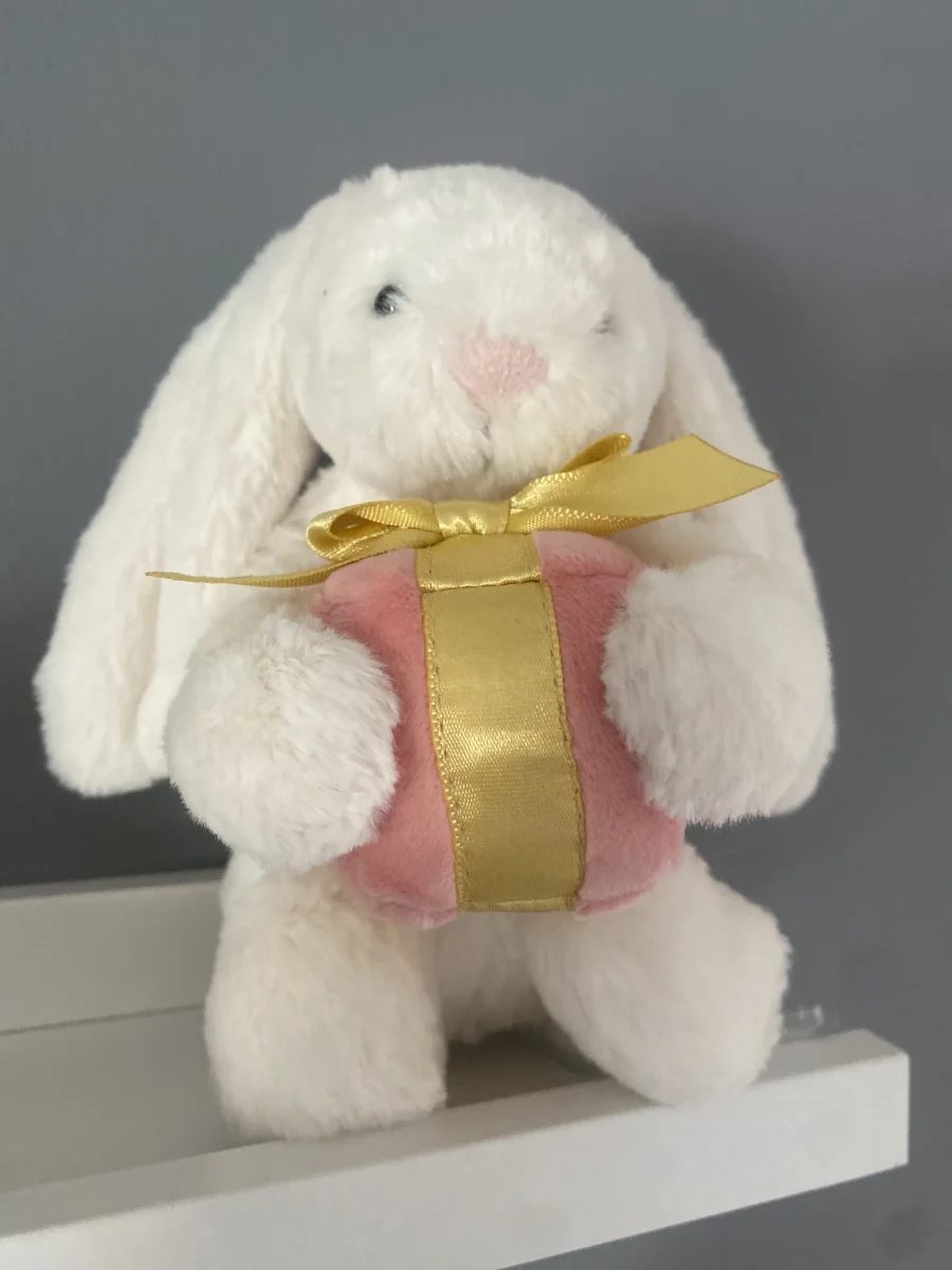 Front - Bashful Bunny with Present photo by celinebbyxo