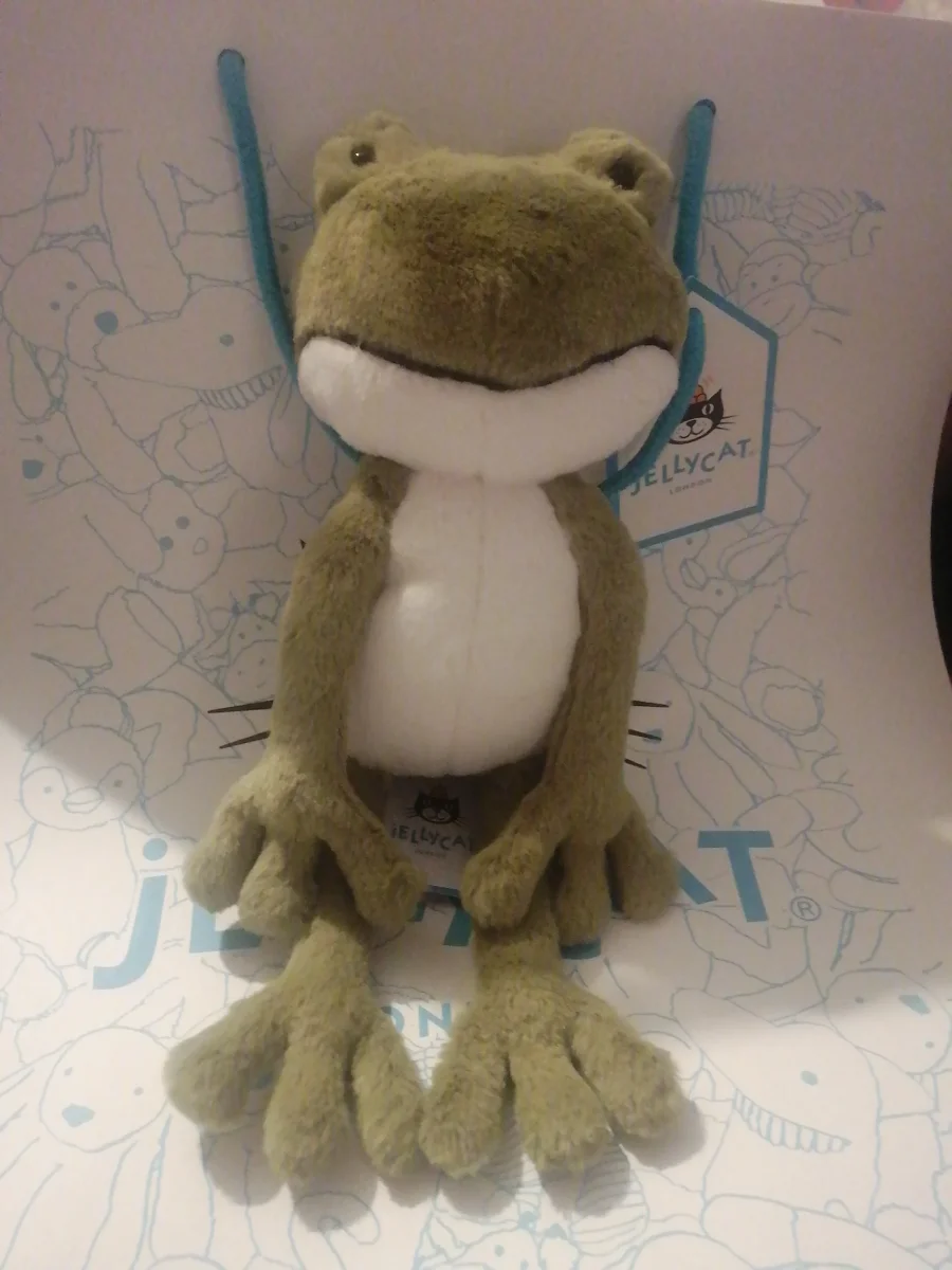 Front - Finnegan Frog photo by Beckylovespatch1995