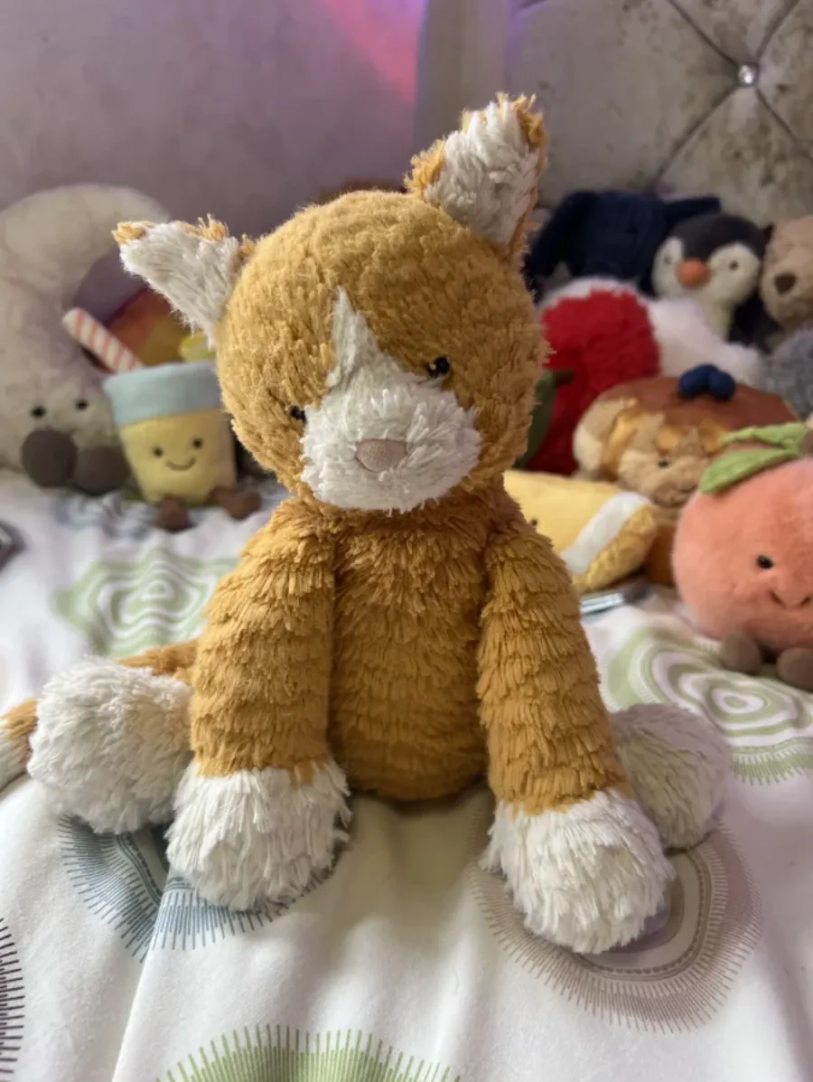 Front - Fuddlewuddle Ginger Cat photo by lily268_