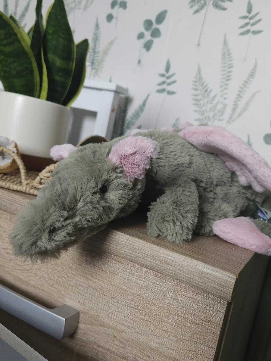 Front - Malachy Dragon photo by Hannah