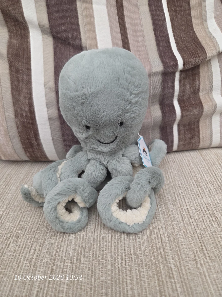 Front - Odyssey Octopus photo by SJCLJelly