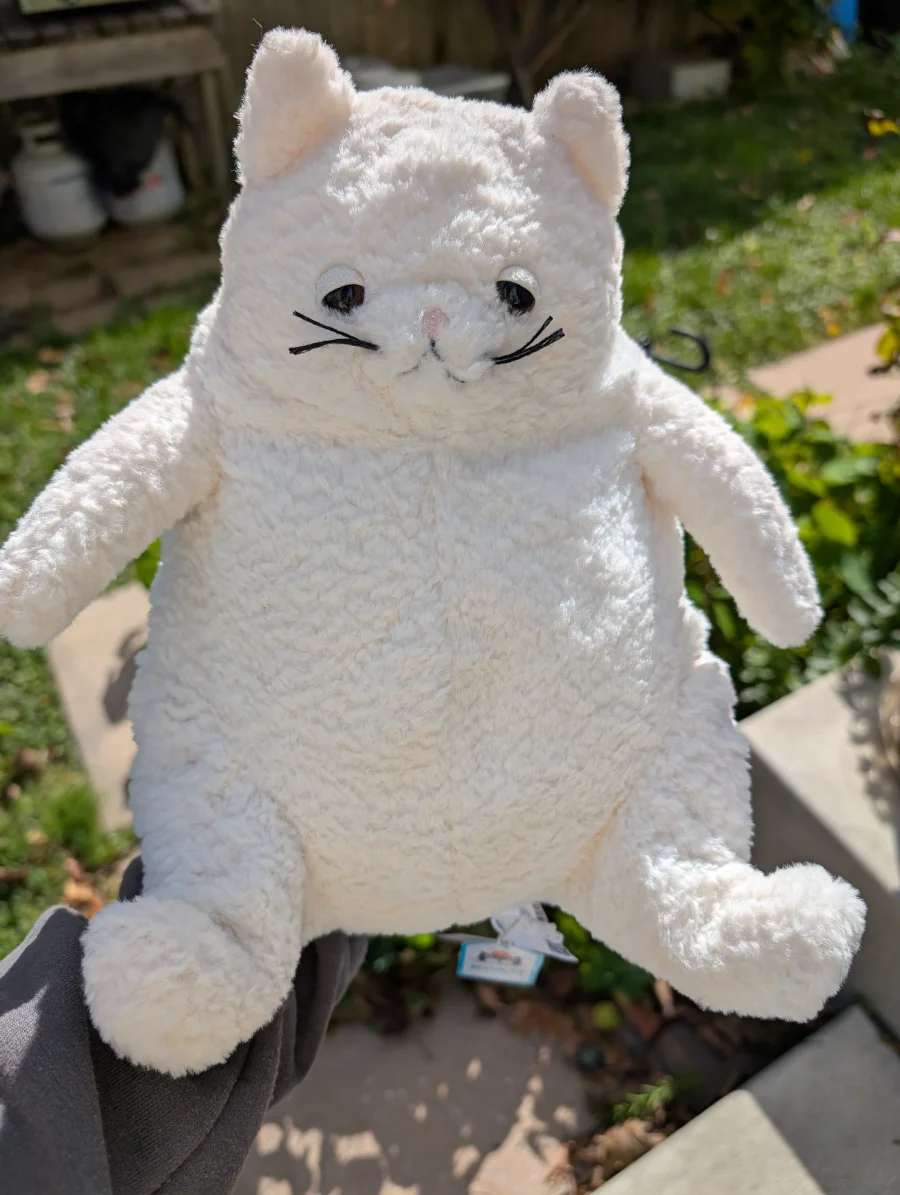 Front - Amore Cat Cream photo by Vaetki