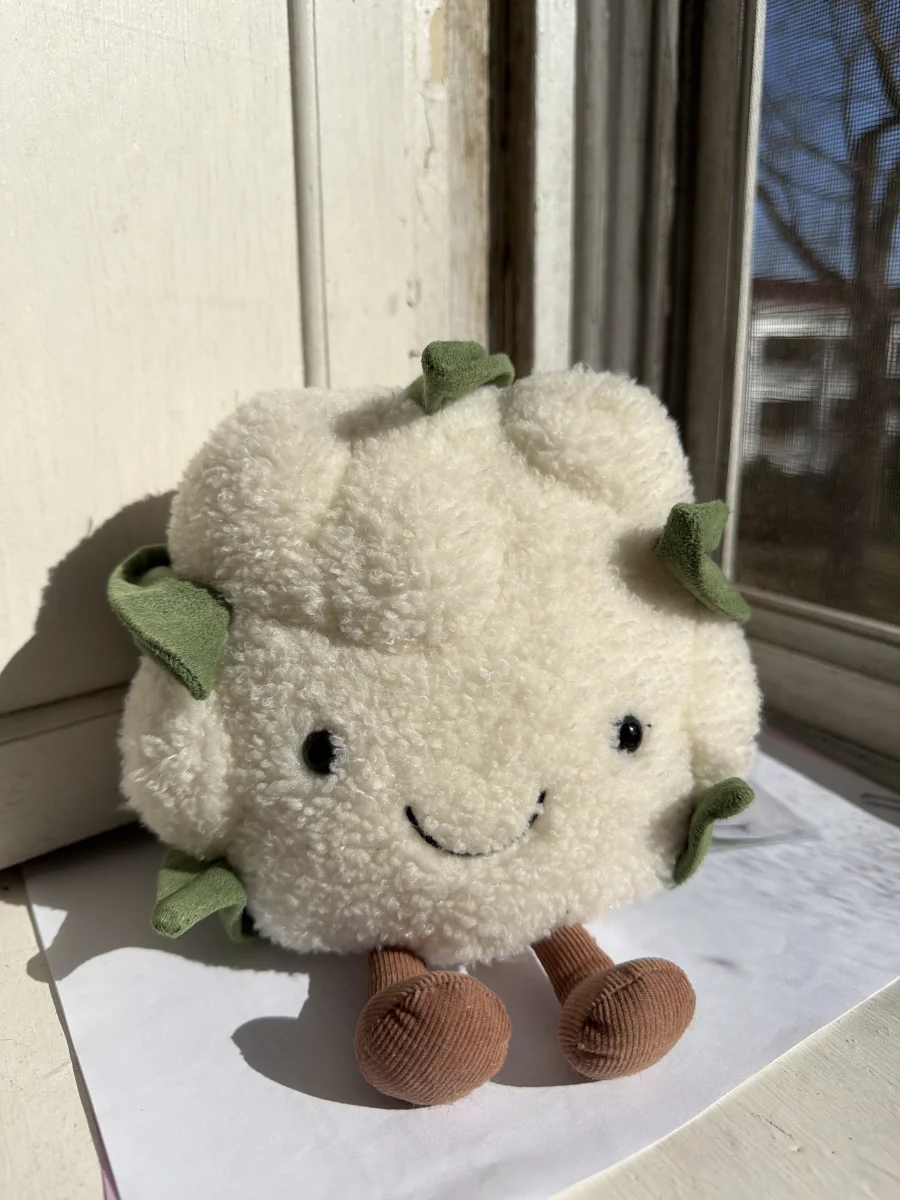 Front - Amuseables Cauliflower photo by katsjellies