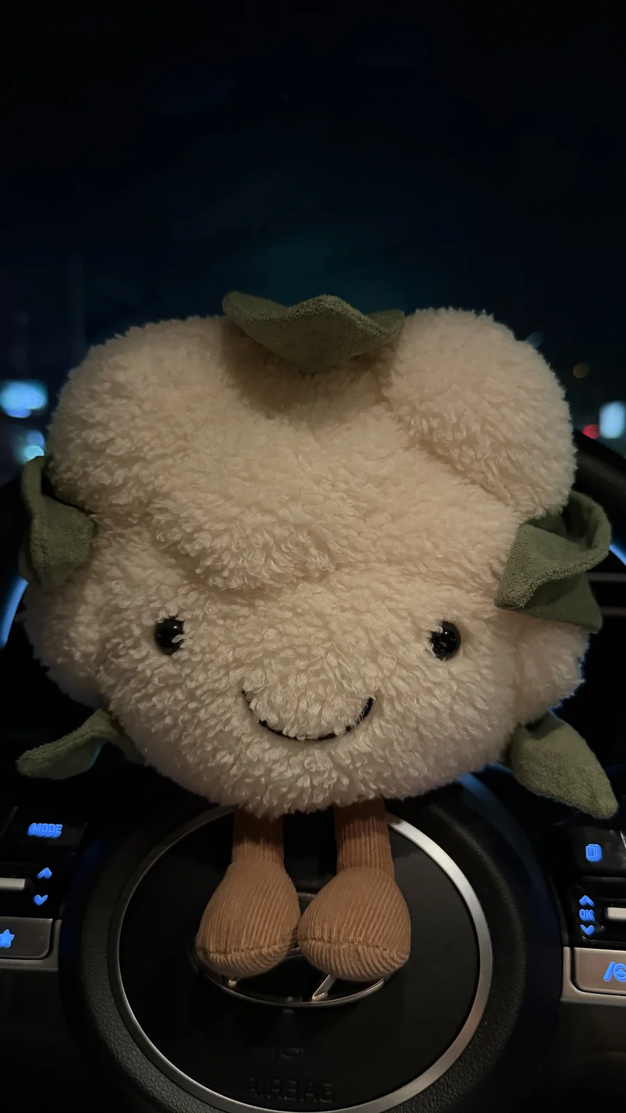 Front - Amuseables Cauliflower photo by bronzieandthejellies