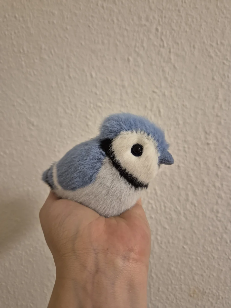 Side - Birdling Blue Jay photo by Helena