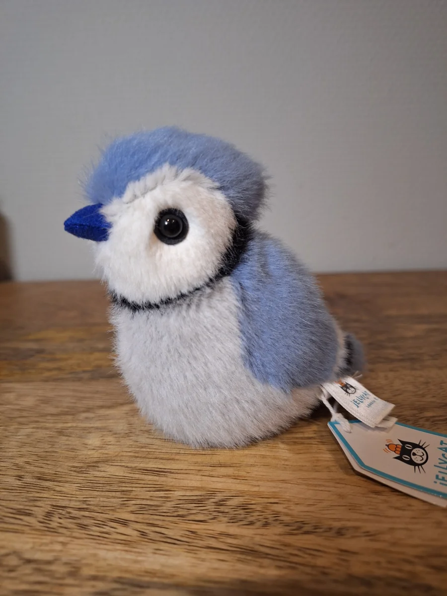 Front - Birdling Blue Jay photo by Sofie