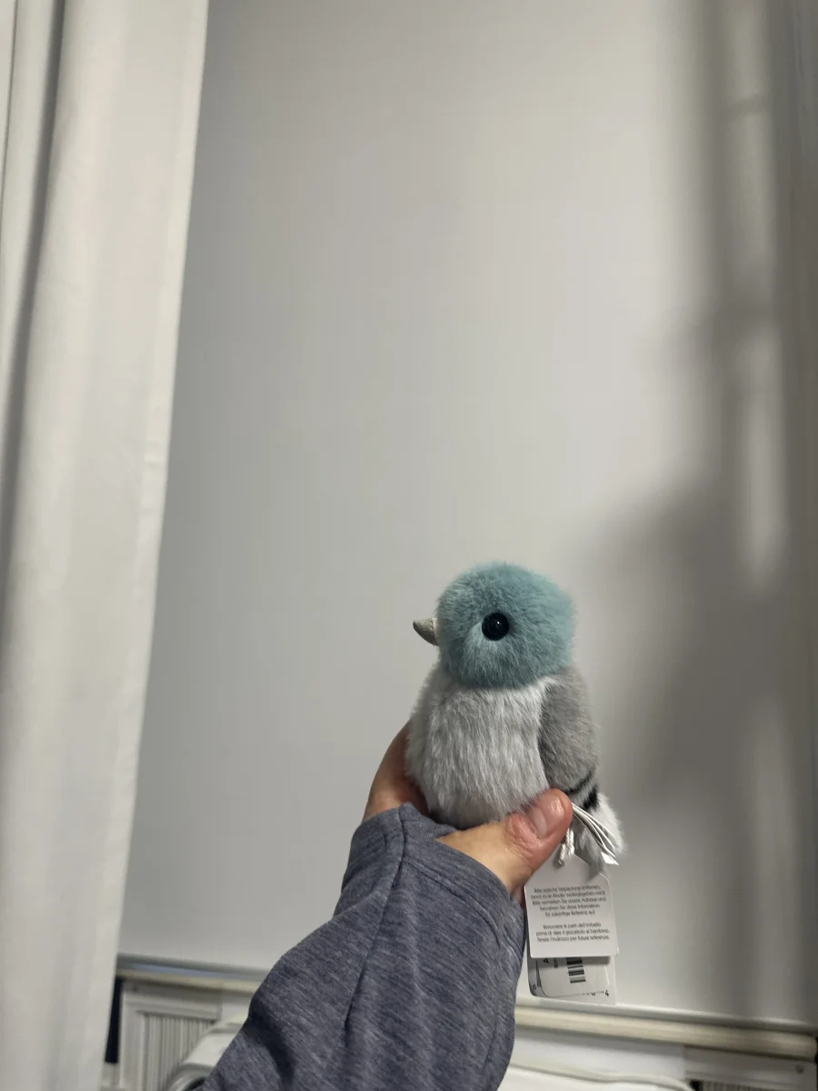 Side - Birdling Pigeon photo by Brooklynsjellys