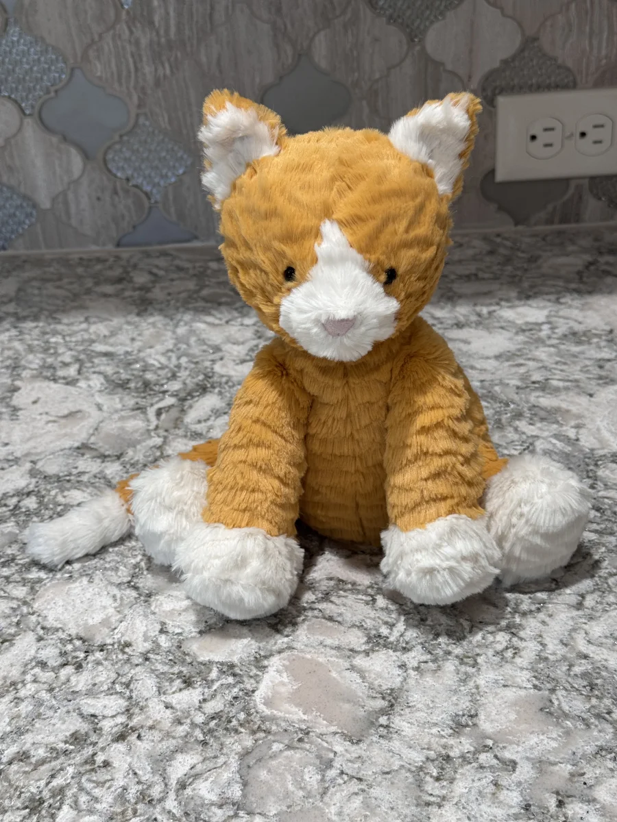 Front - Fuddlewuddle Ginger Cat photo by SnowLeopard821