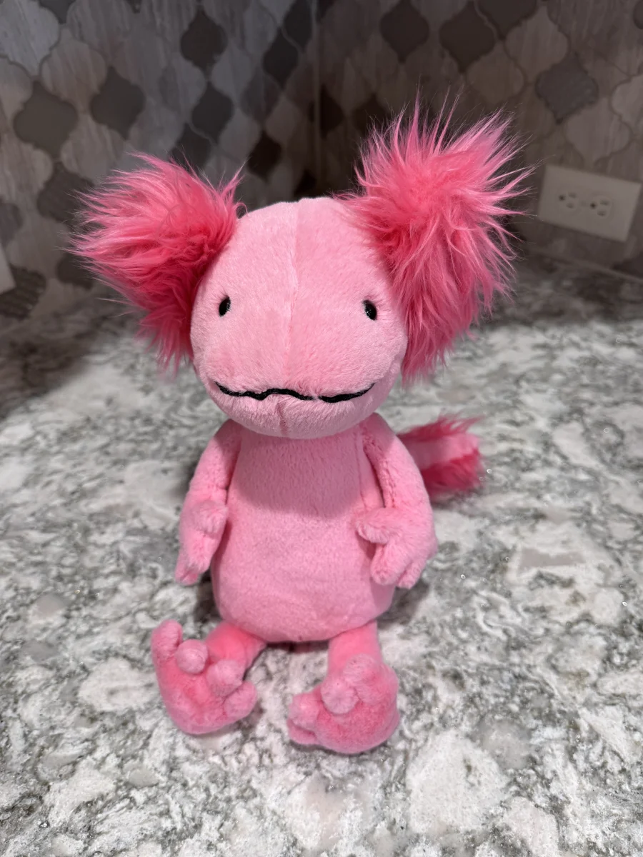 Front - Alice Axolotl photo by SnowLeopard821