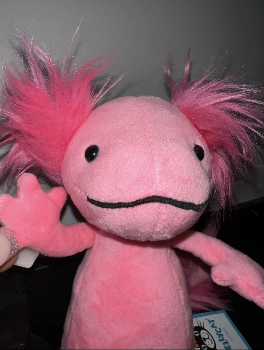 Front - Alice Axolotl - Small photo by hansadler