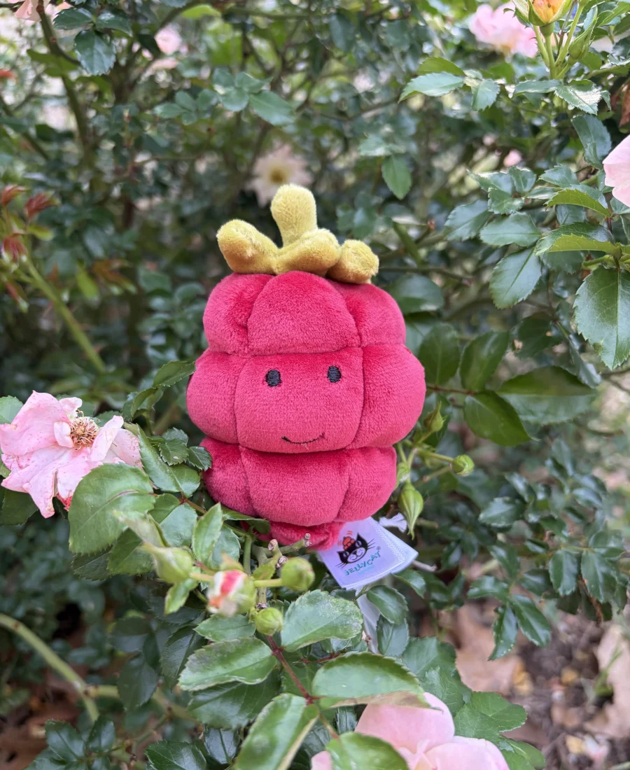 Front - Fabulous Fruit Raspberry photo by AmberrGolden