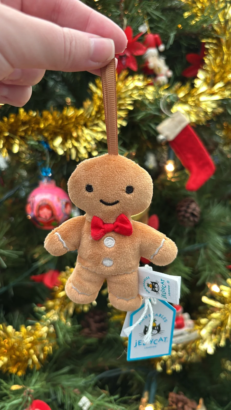 Front - Festive Folly Gingerbread Fred photo by Jelly_Journey