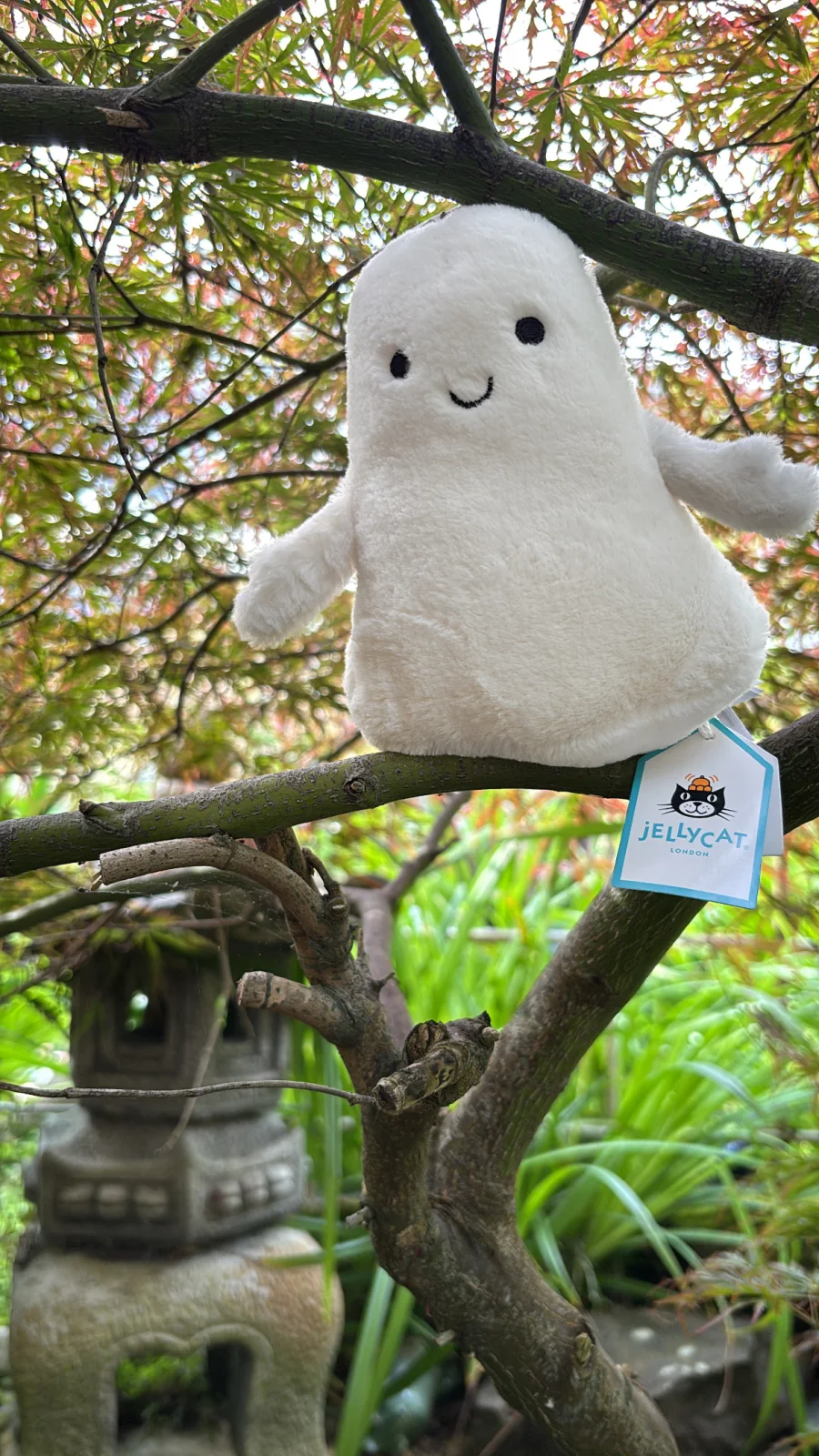 Front - Ooky Ghost photo by Jelly_Journey
