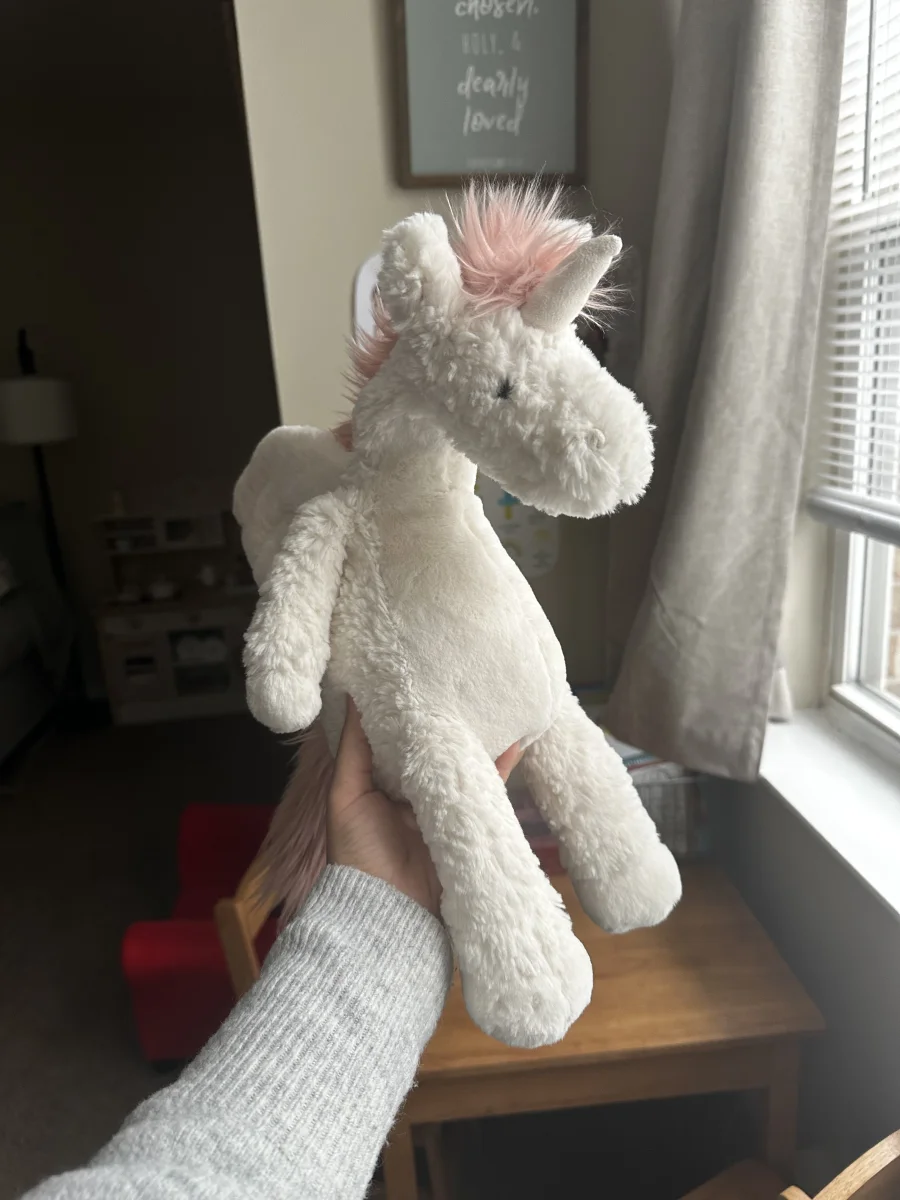 Front - Lallagie Unicorn photo by brisjellyjournal