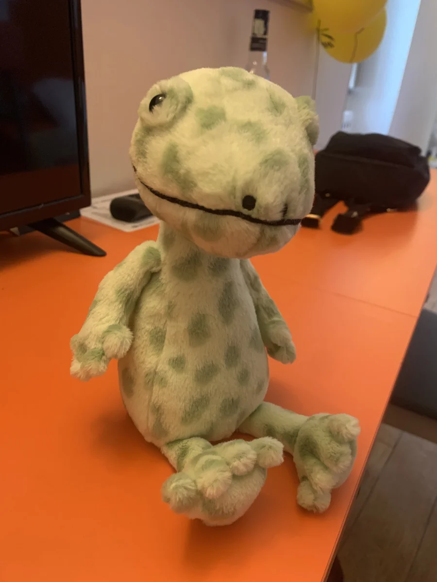 Front - Gunner Gecko photo by Emilysloth_17