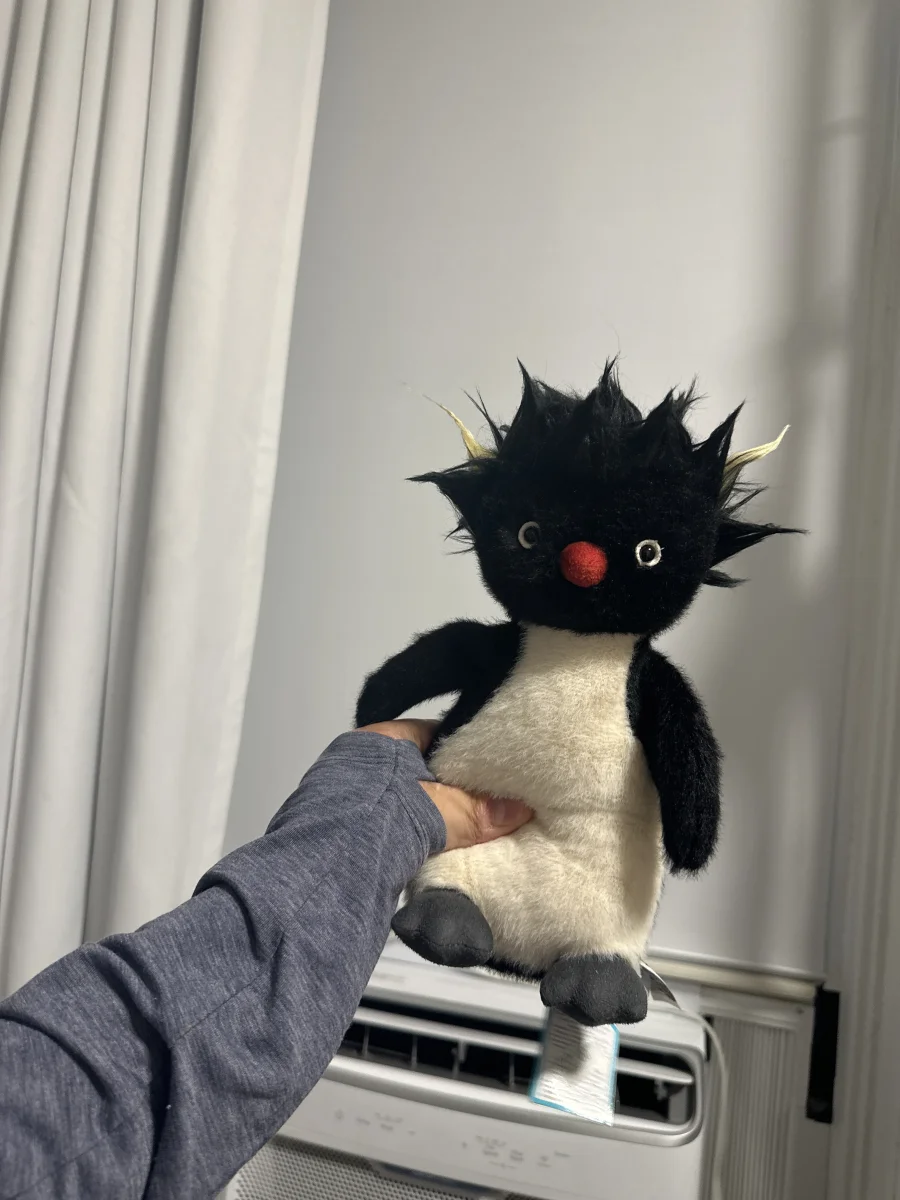 Front - Ronnie Rockhopper Penguin photo by Brooklynsjellys