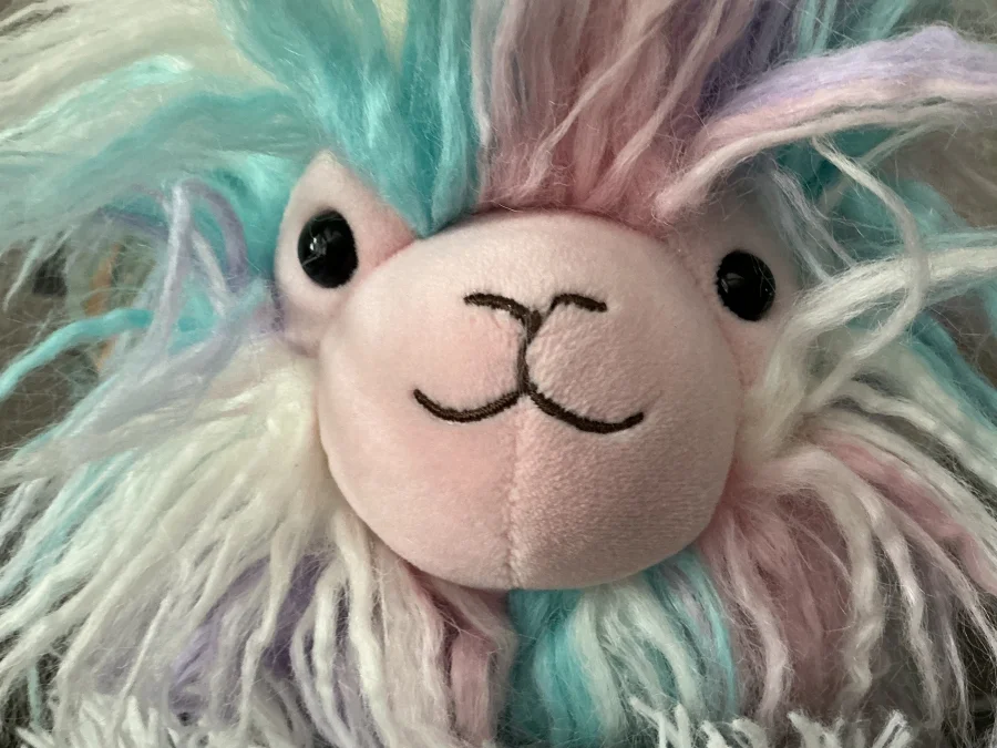 Front - Lovely Llama photo by jellyelly23