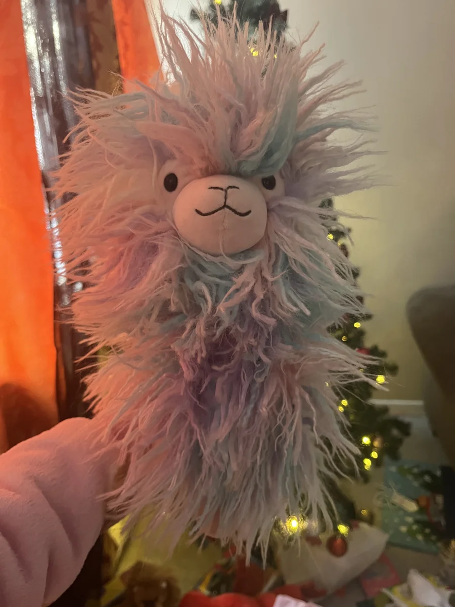 Front - Lovely Llama photo by AllieCat96