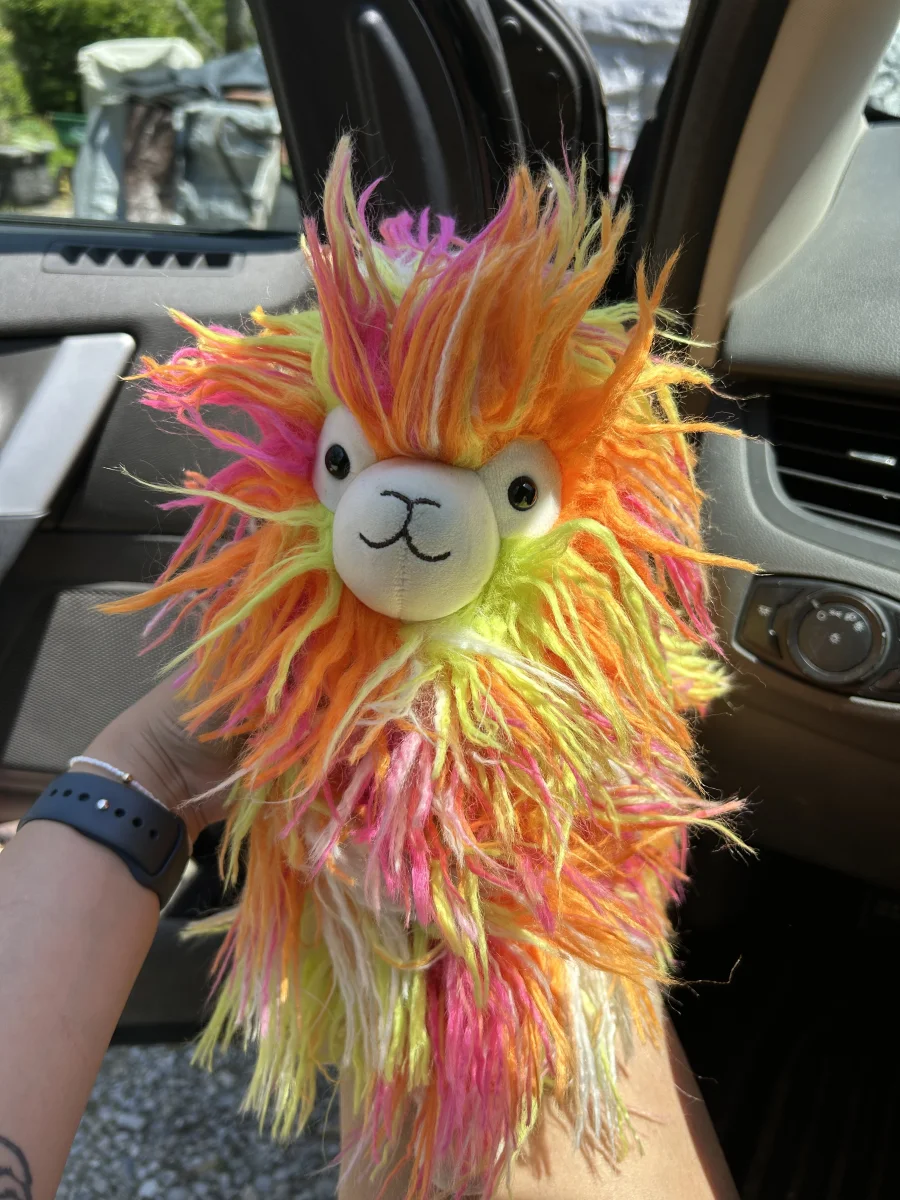Front - Fiesta Llama photo by averyd2003