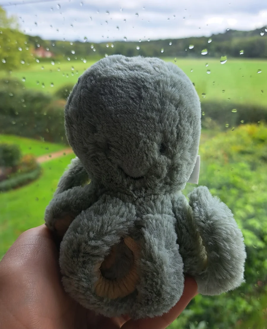 Front - Odyssey Octopus - Little photo by Pandabs