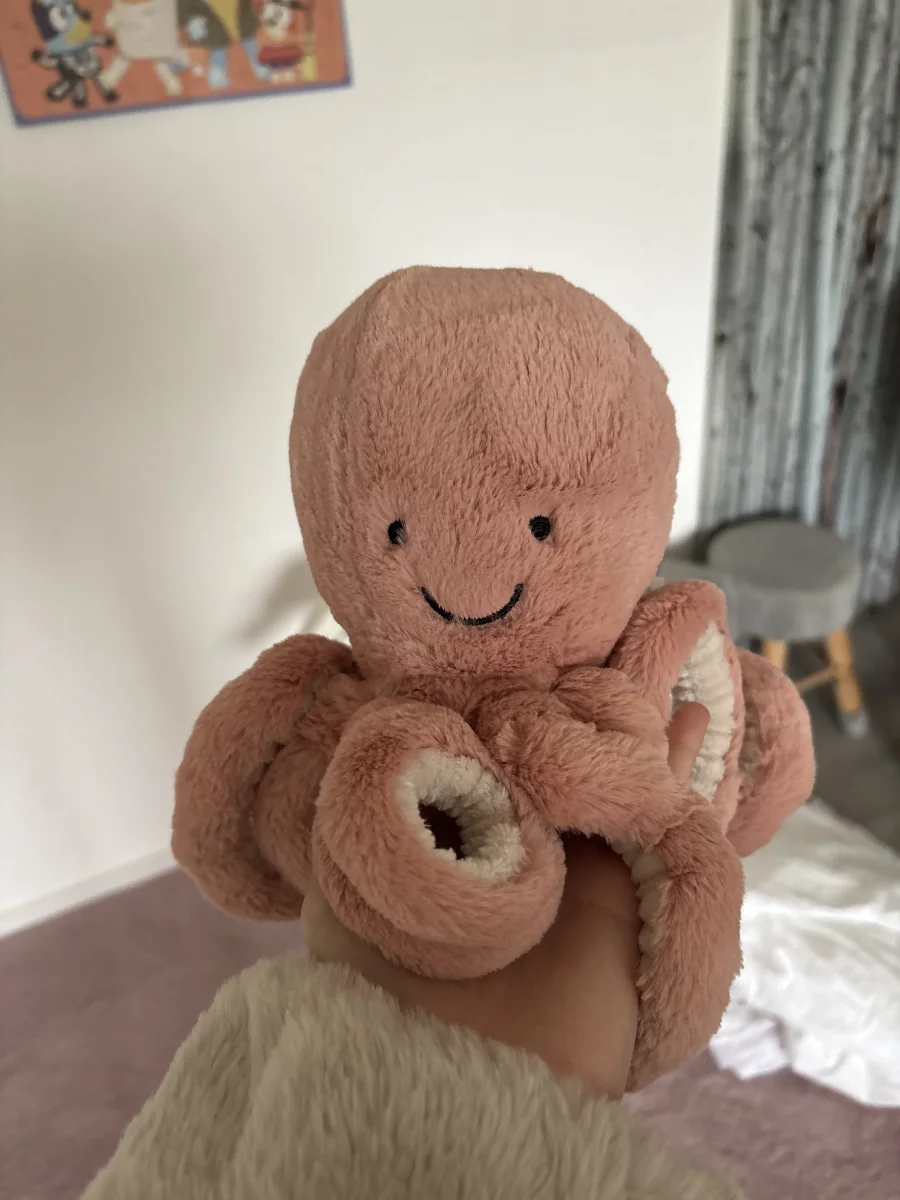 Front - Odell Octopus - Small photo by Avaa