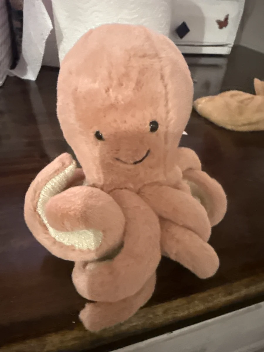 Front - Odell Octopus - Small photo by Casapage