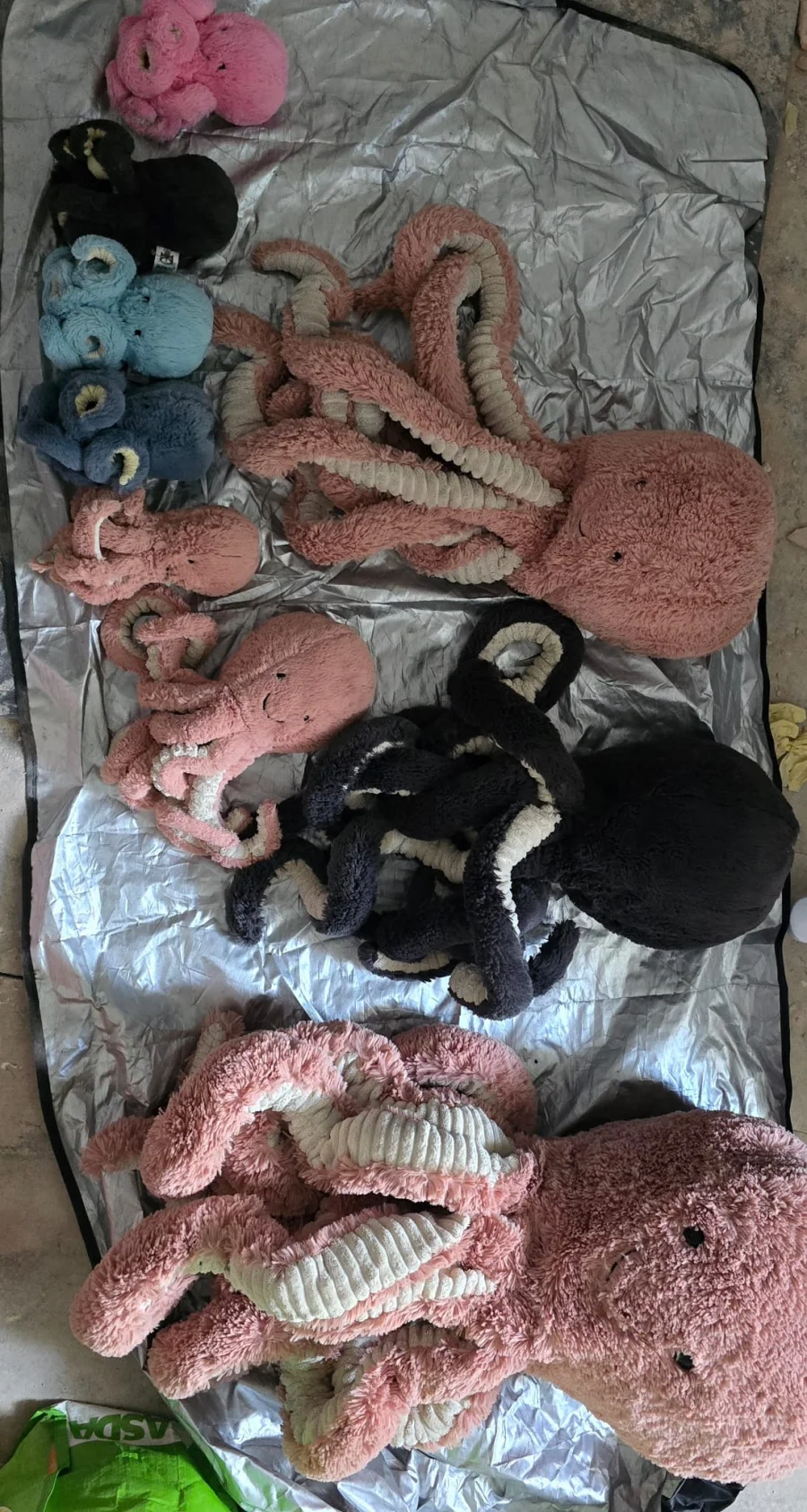 Front - Odell Octopus - Huge photo by Melerin