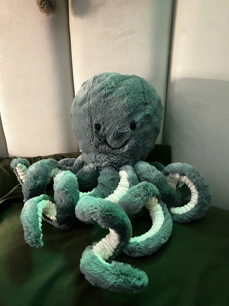Front - Storm Octopus - Large photo by Tanna