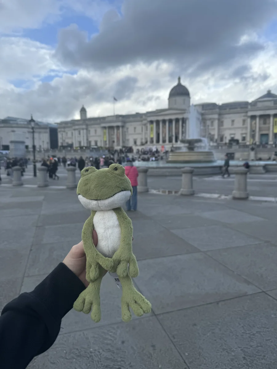 Front - Finnegan Frog photo by Tay11
