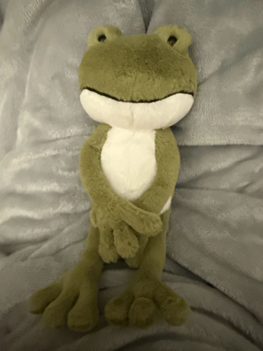 Front - Finnegan Frog photo by maddycat130