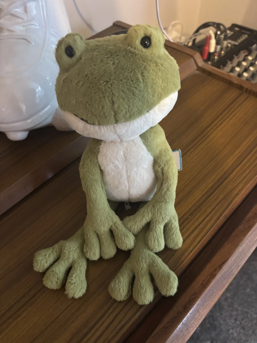 Front - Finnegan Frog photo by CharlieP