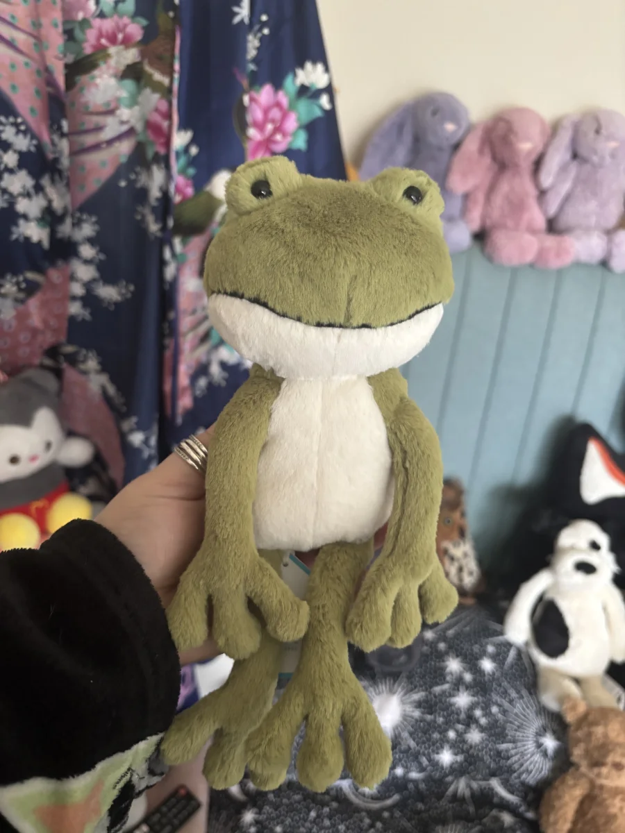 Front - Finnegan Frog photo by Slanelivhill