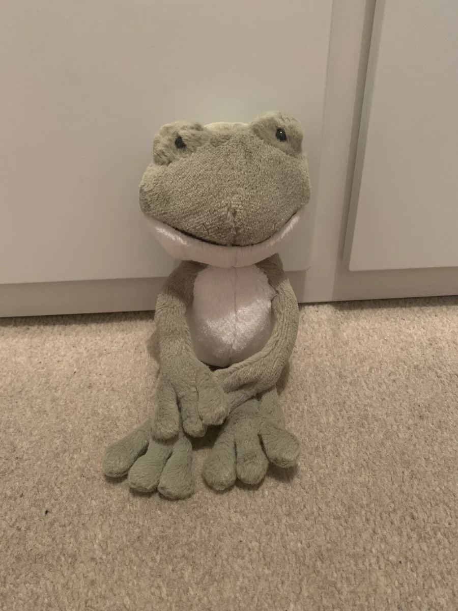Front - Finnegan Frog photo by Laura_1