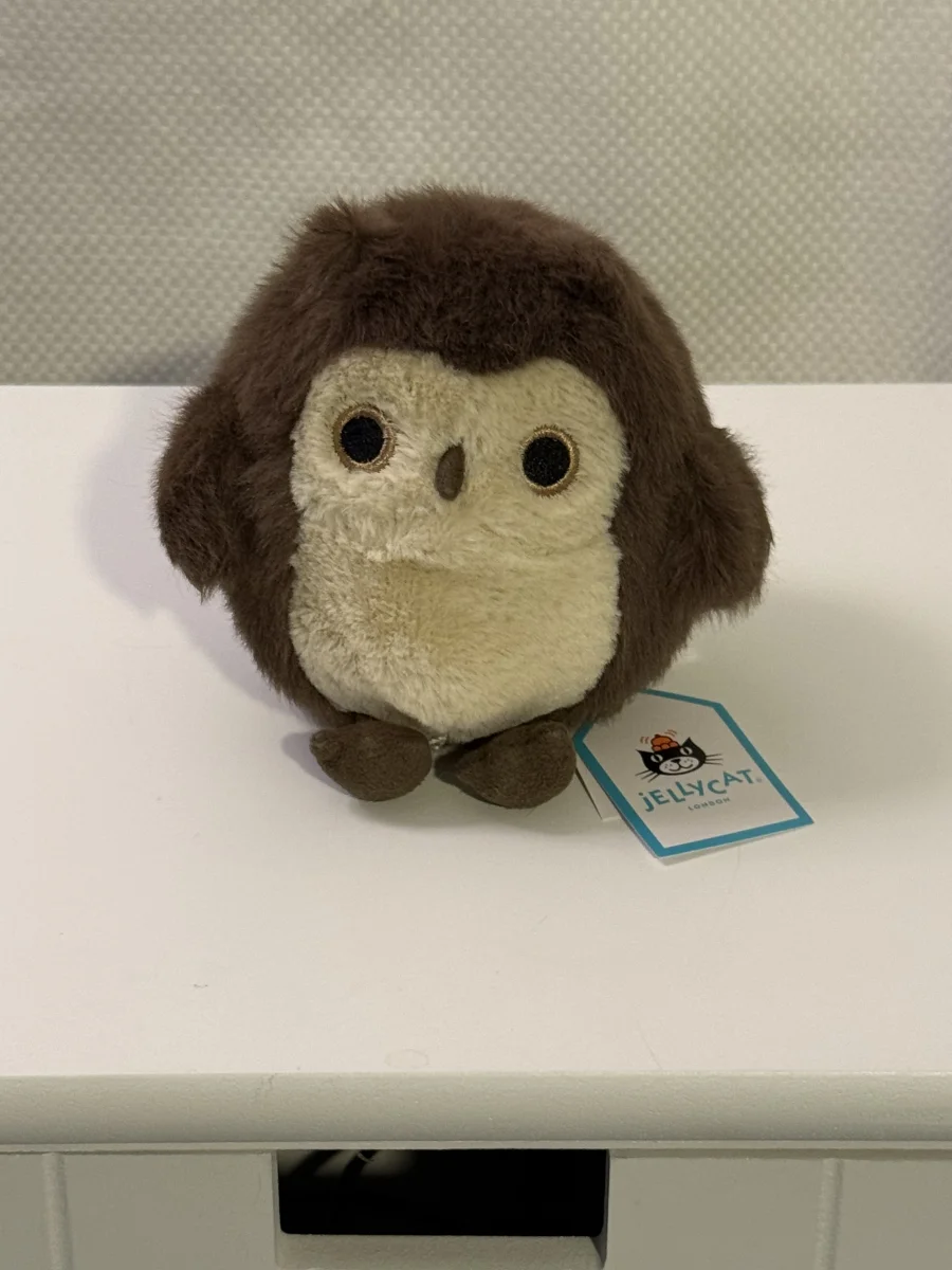 Front - Brown Owling photo by Bunnylove