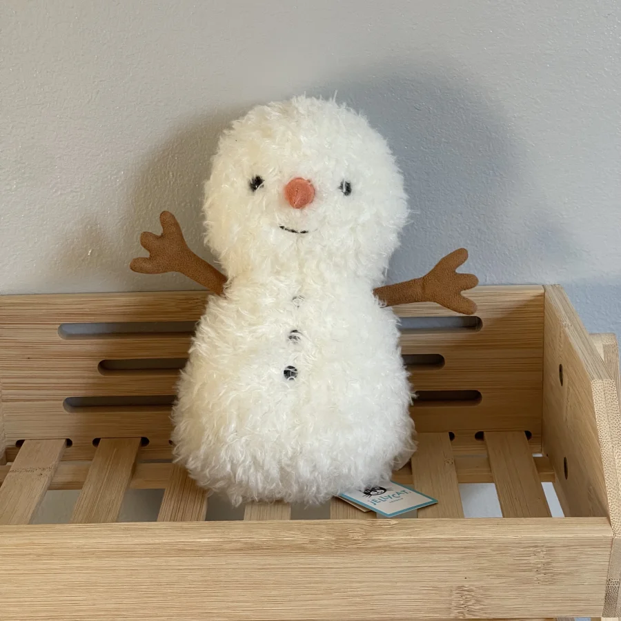 Front - Little Snowman photo by charlotteriddettepage