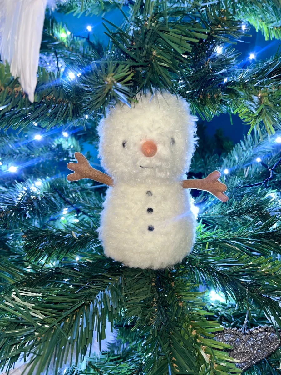 Front - Little Snowman photo by JellyKerry