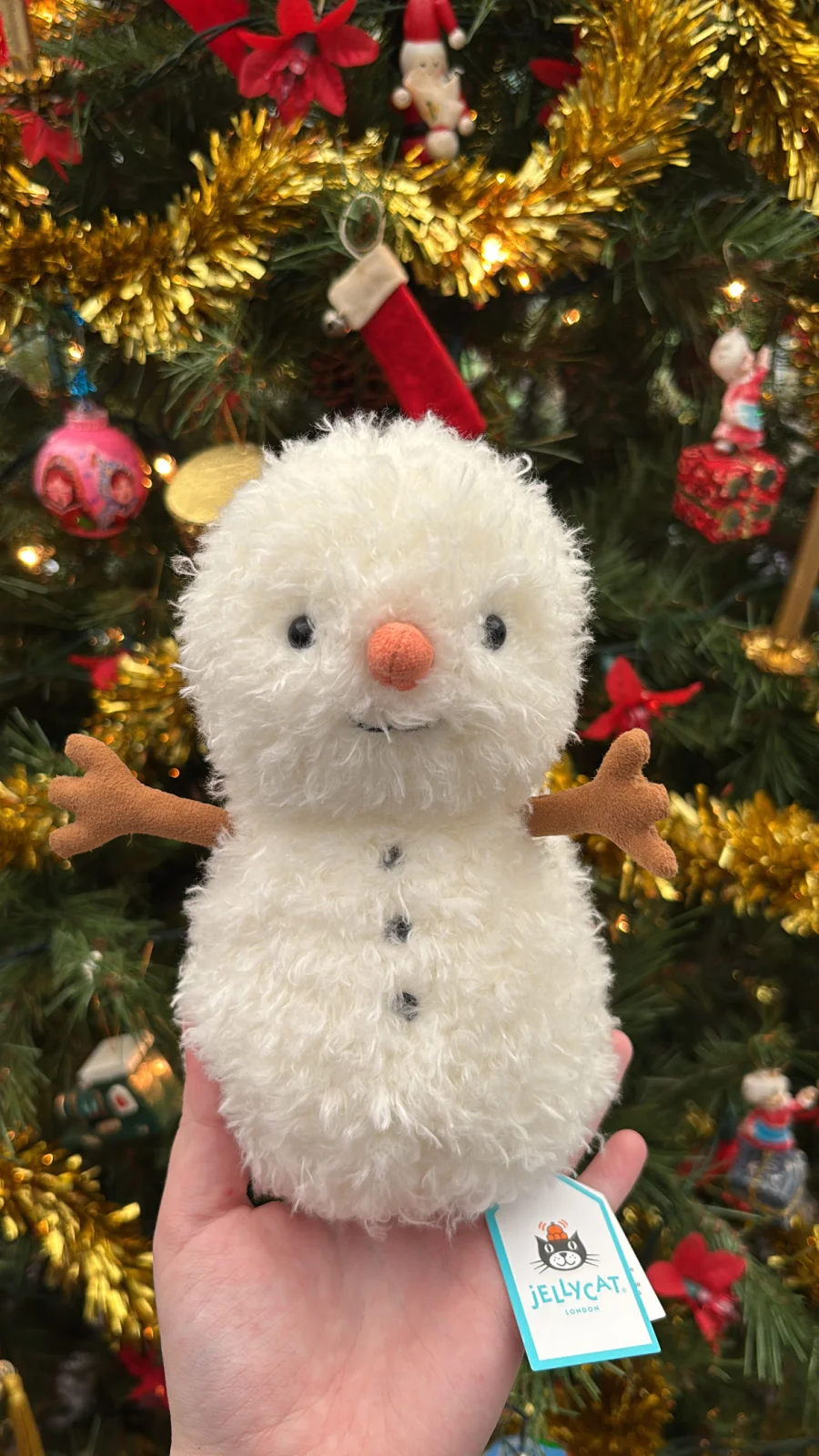 Front - Little Snowman photo by Jelly_Journey