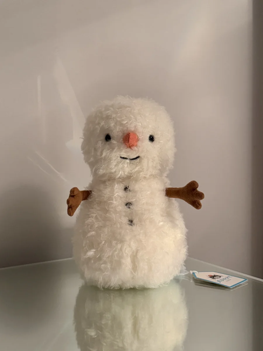 Front - Little Snowman photo by Mikeymoomoo1