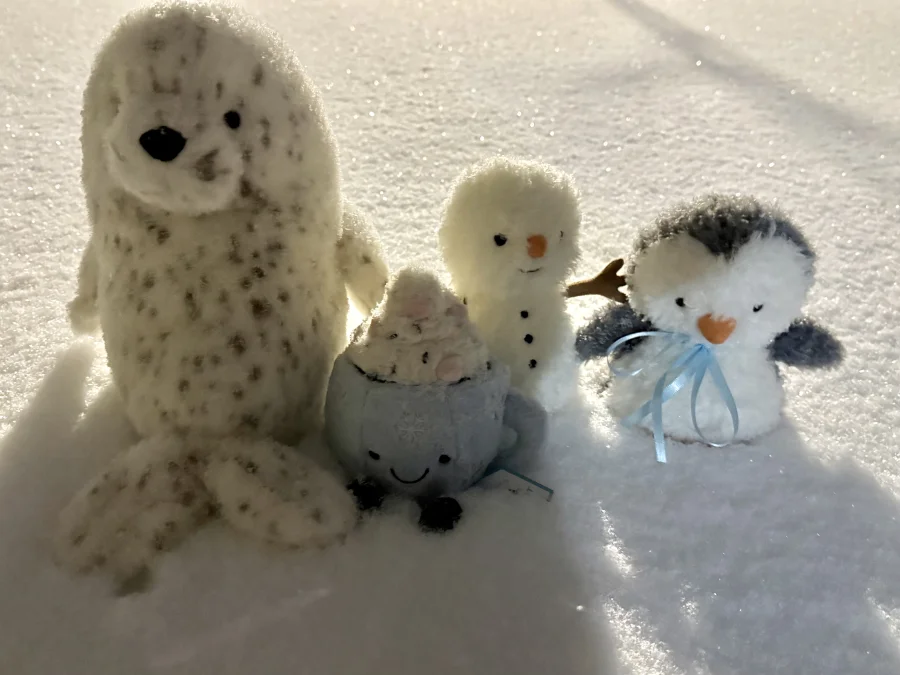 Front - Little Snowman photo by catycake