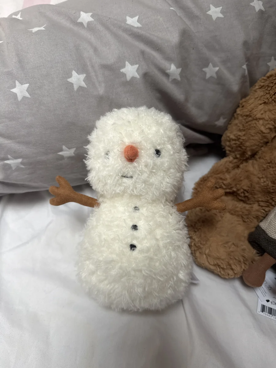 Front - Little Snowman photo by chloeellenxx