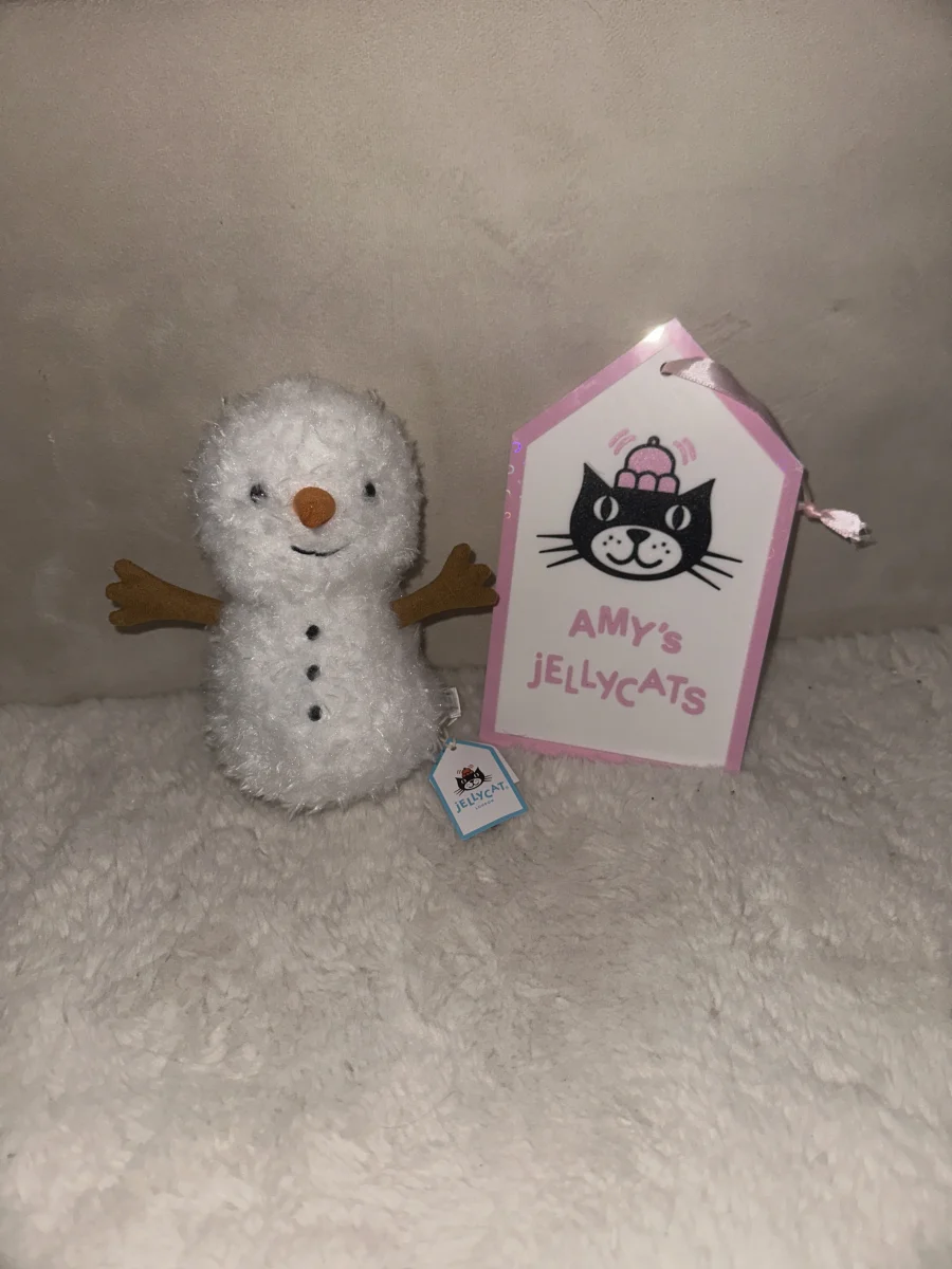 Front - Little Snowman photo by amysjellys