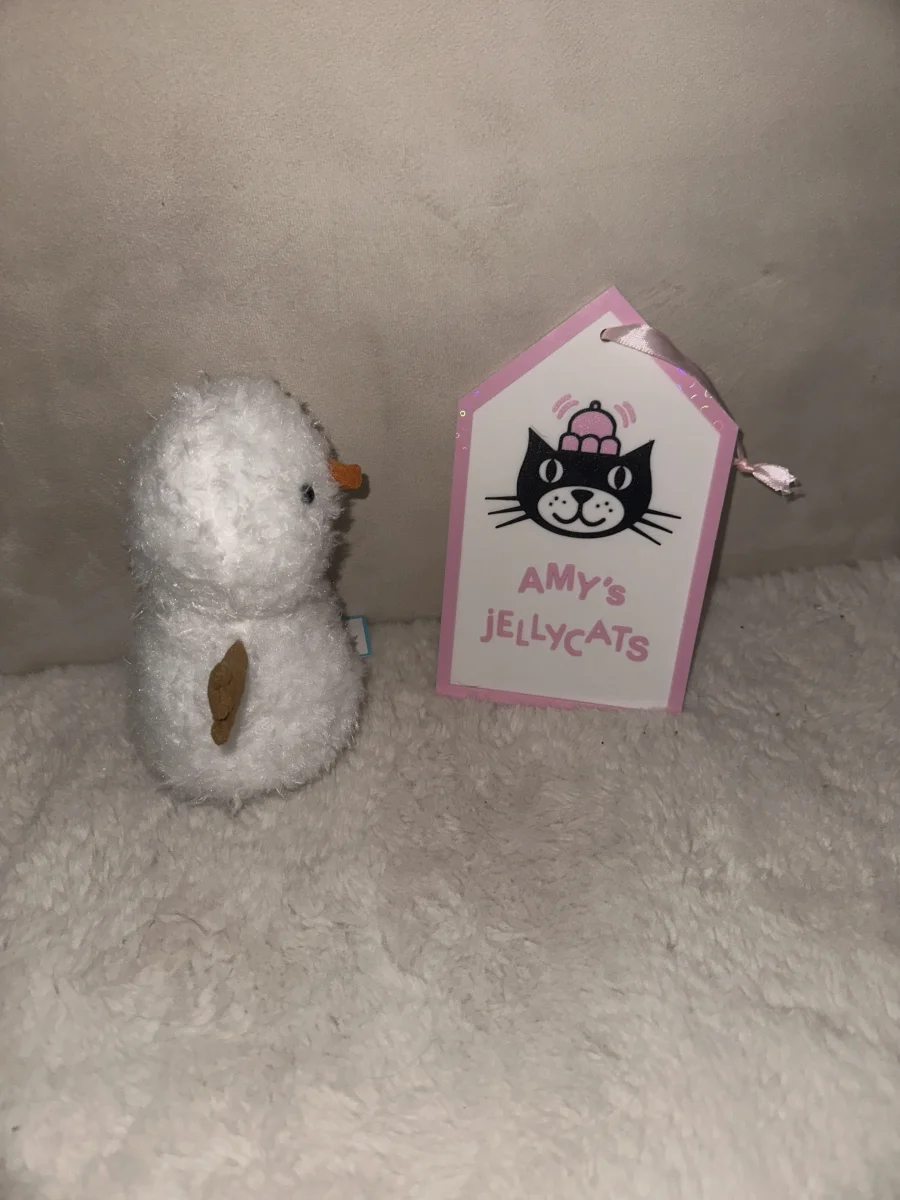Side - Little Snowman photo by amysjellys
