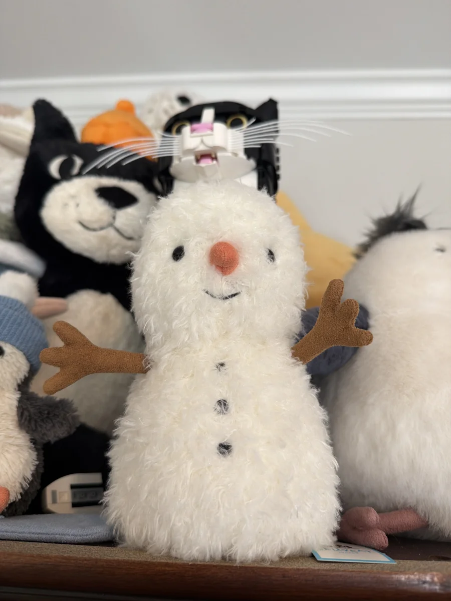 Front - Little Snowman photo by Oceanswell04
