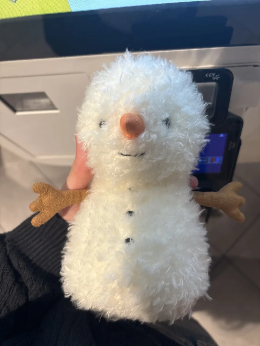 Front - Little Snowman photo by Avaa